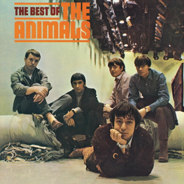 Best Of The Animals