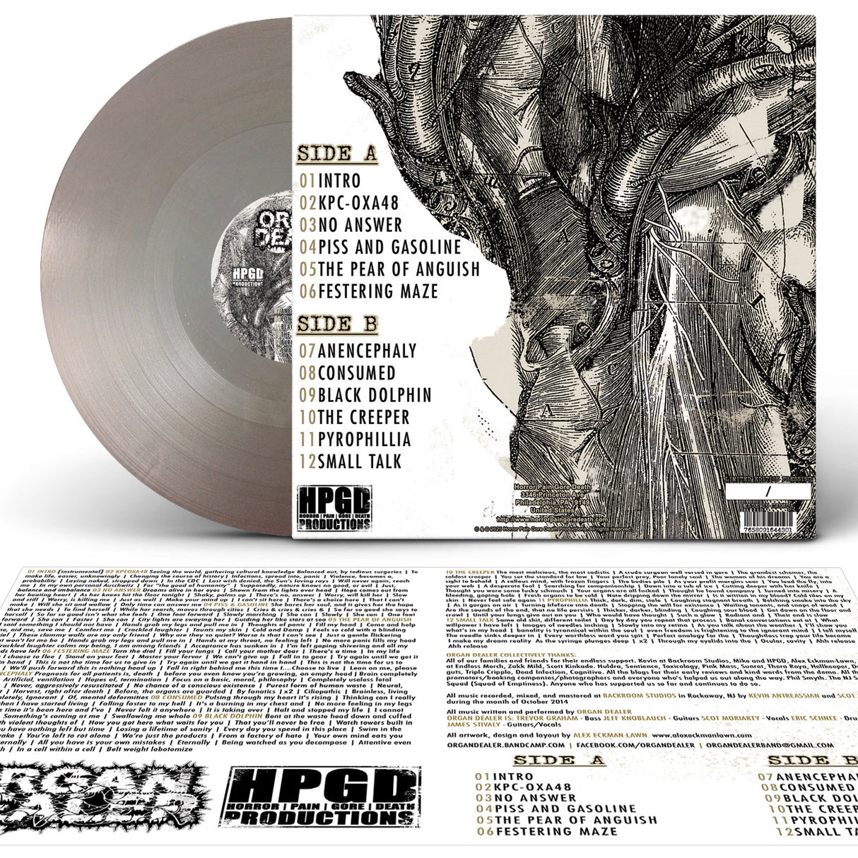 ORGAN DEALER - Visceral Infection LP (Metallic Silver) LTD To 141