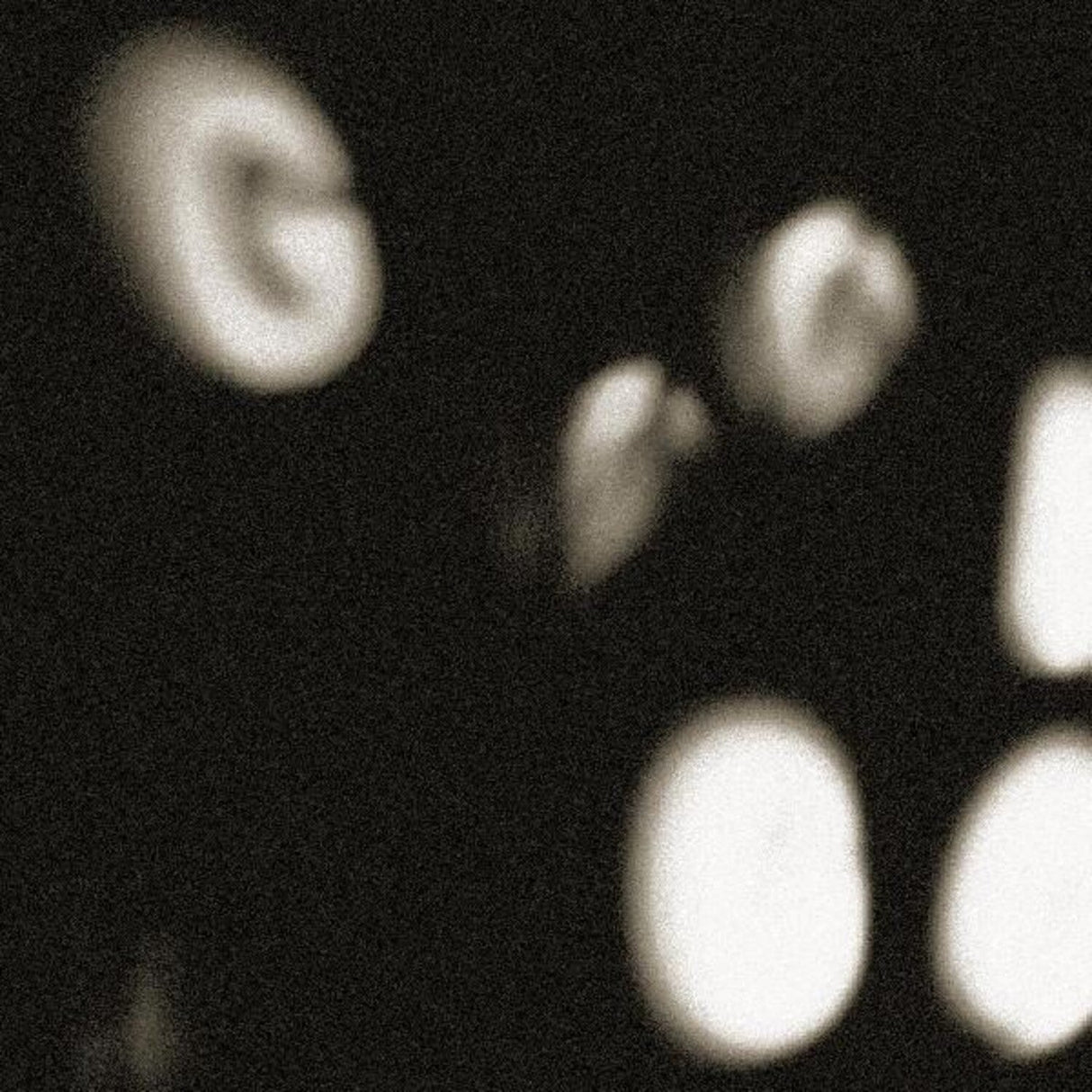 Goons Be Gone (Inner Sleeve/Front Sticker)