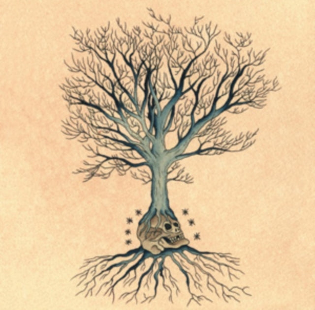 Doug David / Mccombs Daniell - Versions - LP Vinyl