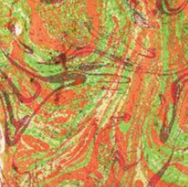 Dan Friel - Life - LP Vinyl