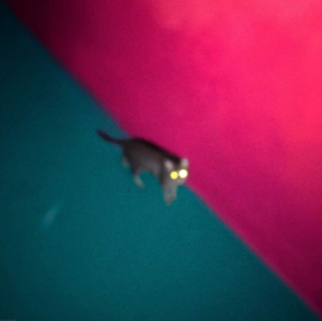 !!! (Chk Chk Chk) - Wallop (2LP/Dl Card)