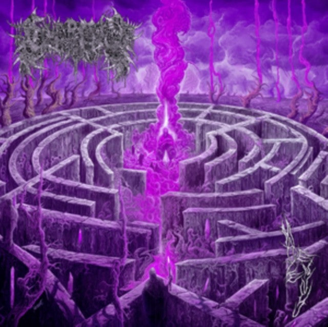 Maze Envy (Purple/Magenta Merge LP Vinyl)