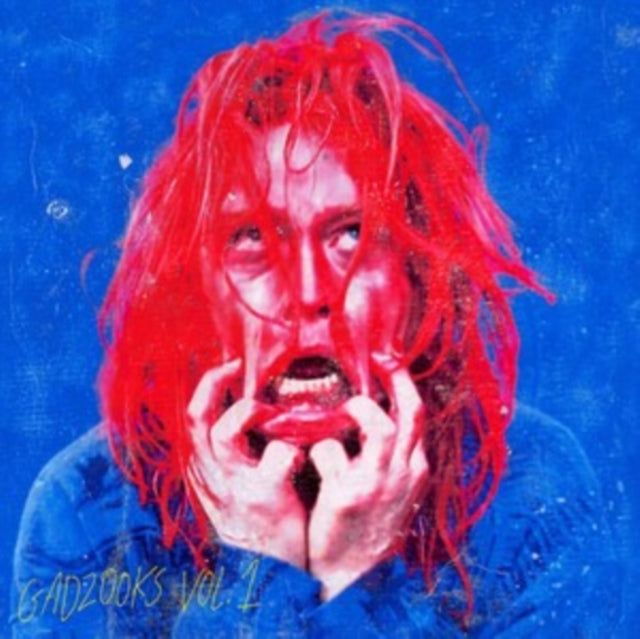 Gadzooks: Vol. 1 (Red LP Vinyl)