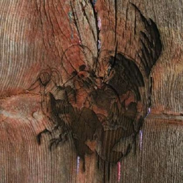 Avey Tare's Slasher Flicks - Enter The Slasher House (2LP/Dl Card)