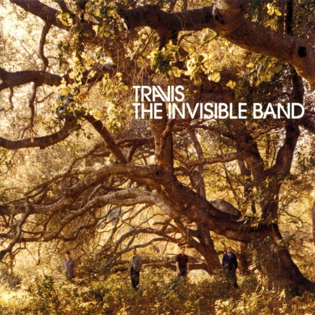 Invisible Band (20Th Anniversary/Deluxe/2CD/Clear Vinyl/2LP)