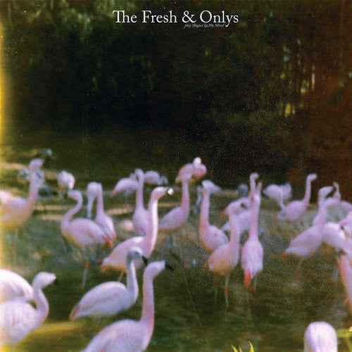 the album cover for Fresh & Onlys - August in My Mind