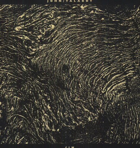 the album cover for John Talabot - Fin