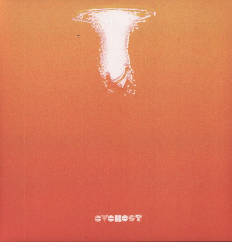 the album cover for Everest - Ownerless