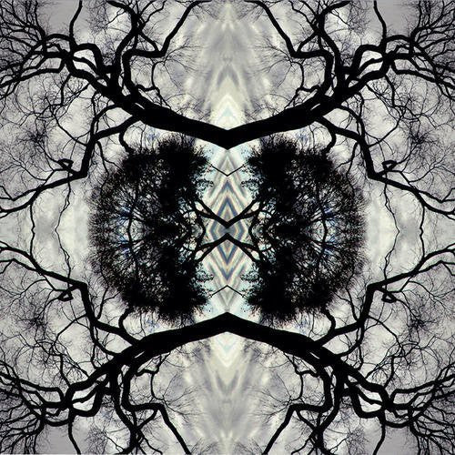 the album cover for Adam Rudolph - Sonic Mandala Go: Organic Orchestra