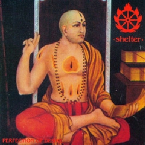 the album cover for Shelter - Perfection of Desire