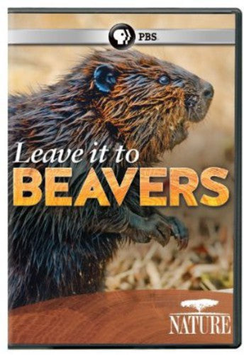 Nature: Leave It To Beavers - Nature: Leave It To Beavers - DVD
