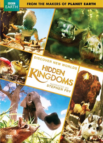 Hidden Kingdom - Hidden Kingdom - DVD