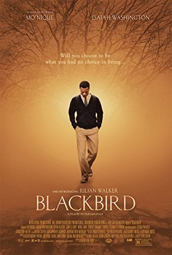 Blackbird - Blackbird - Blu-ray