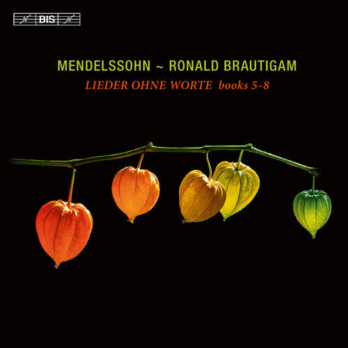 Mendelssohn,f. / Brautigam,ronald - Mendelssohn: Lieder Ohne Worte Books 5-8 - Super Audio CD