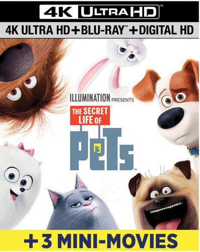 Secret Life Of Pets - Secret Life Of Pets - UHD