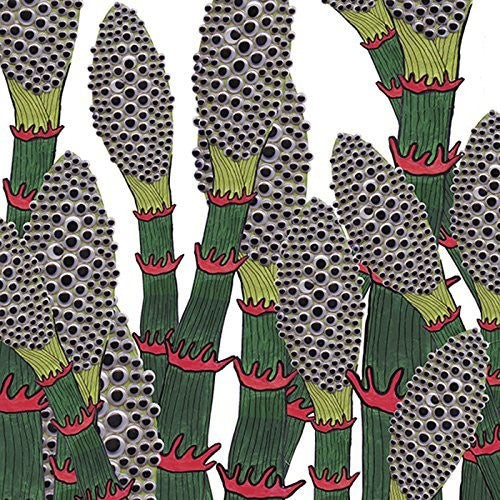 Part Chimp - Iv - Music CD