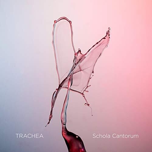 Trachea / Various - Trachea / Various - Blu-ray Audio