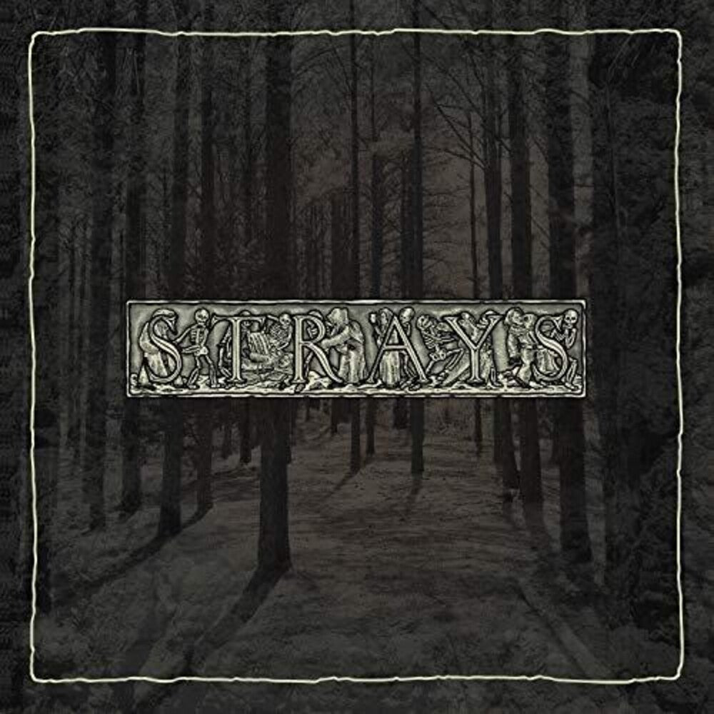 the album cover for Strays - TIMEDEATHVOIDDREAMDEATHVOIDDREAM