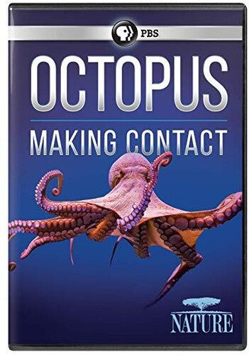 Nature: Octopus - Making Contact - Nature: Octopus - Making Contact - DVD