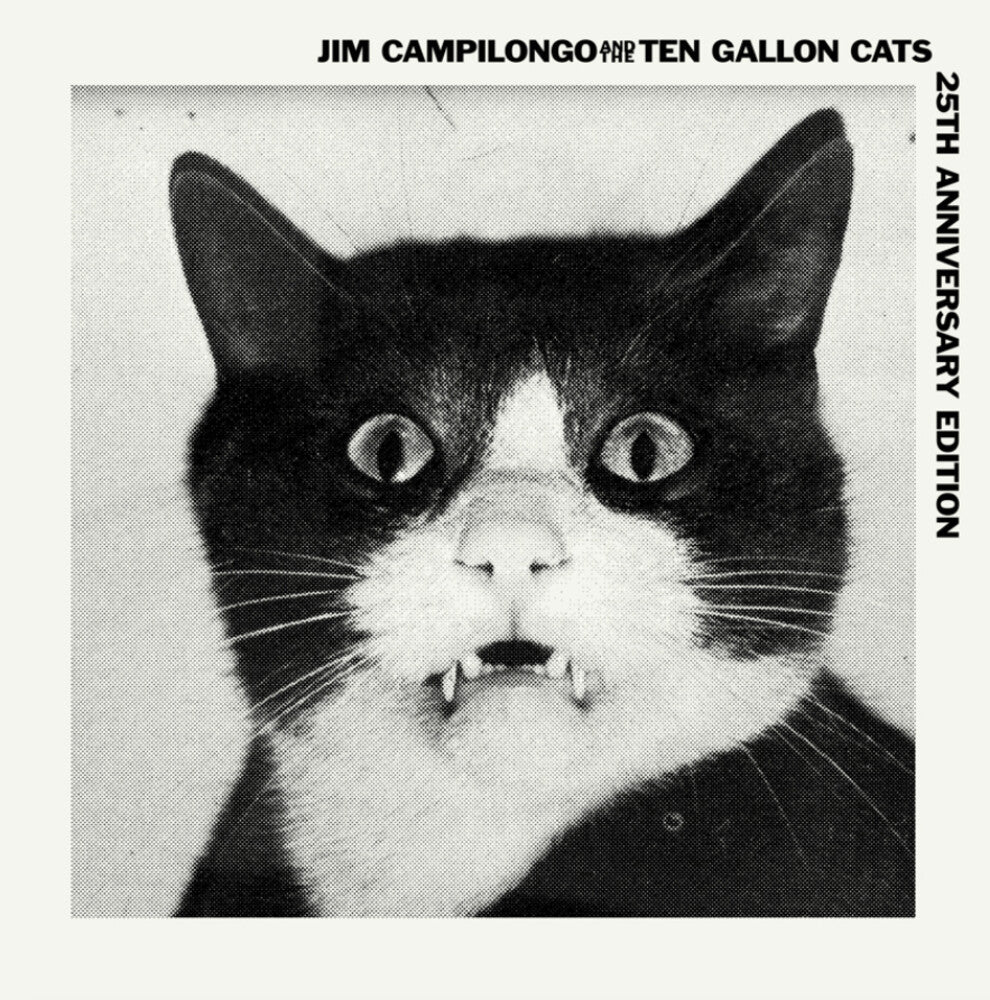 the album cover for Jim Campilongo / Ten Gallon Cats - Jim Campilongo & Ten Gallon Cats