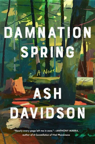 Davidson,ash - Damnation Spring - Books