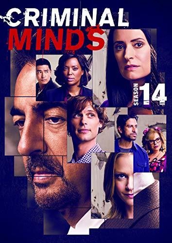 Criminal Minds: Fourteenth Season - Criminal Minds: Fourteenth Season - DVD