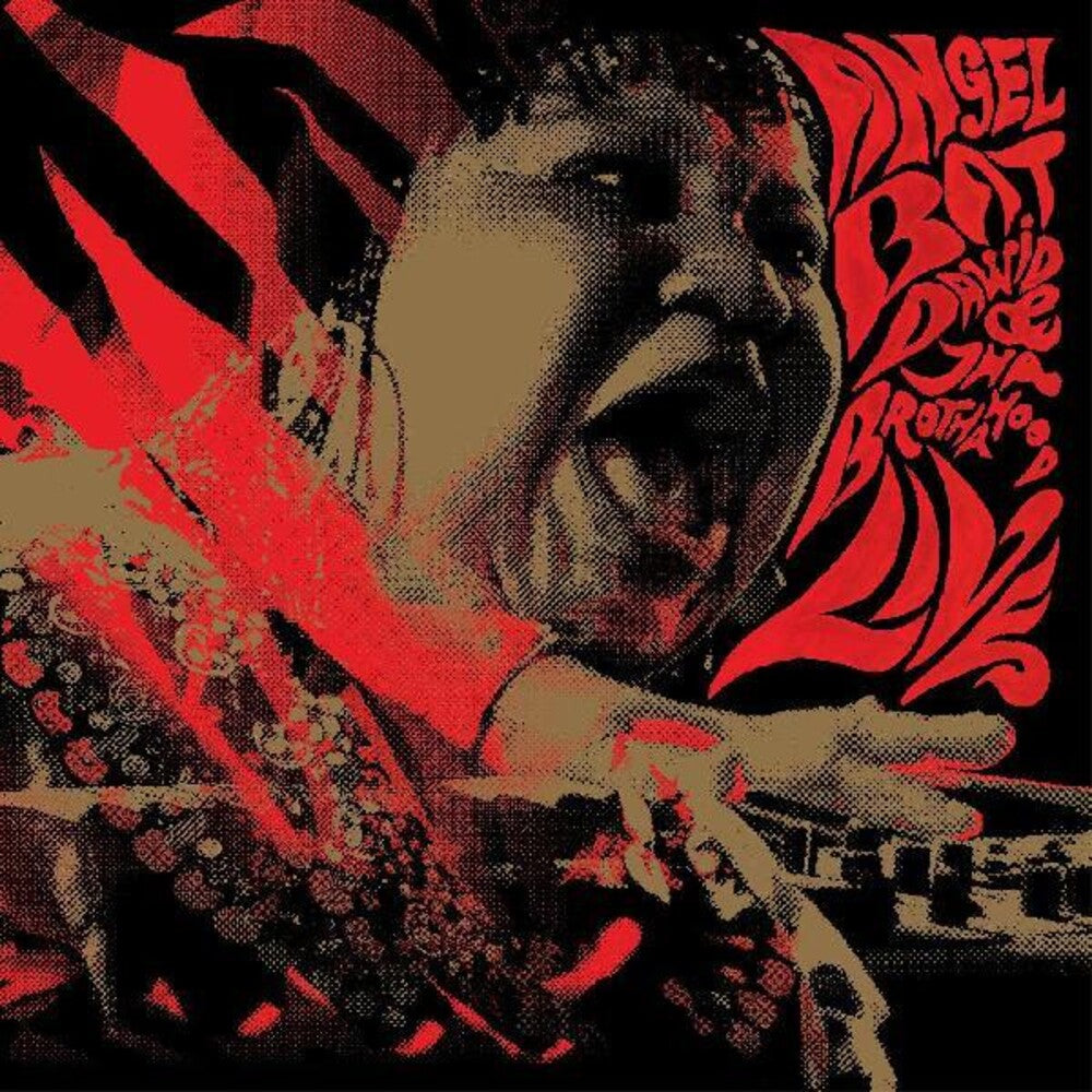 the album cover for Angel Dawid Bat & Tha Brothahood - Live