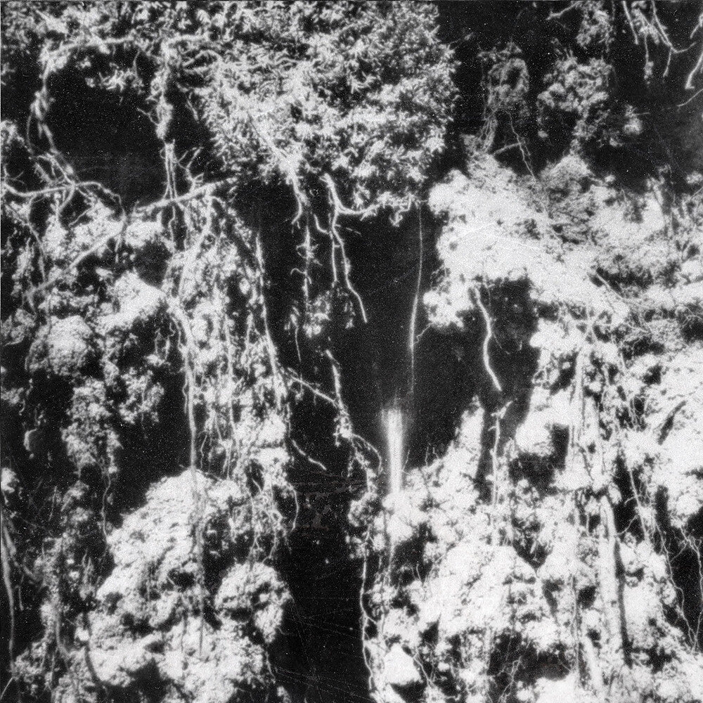 the album cover for Den Sorte Dod - Den Sorte Dod