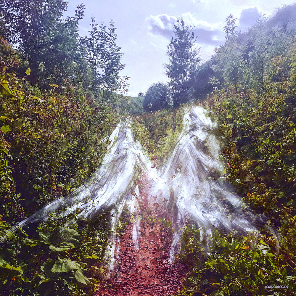 the album cover for Penelope Antena - Beamorose