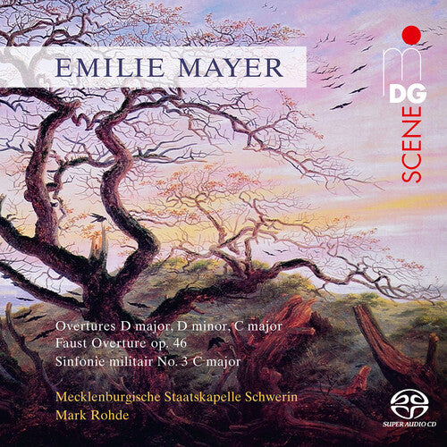 Mayer - Overtures D Major - Super Audio CD