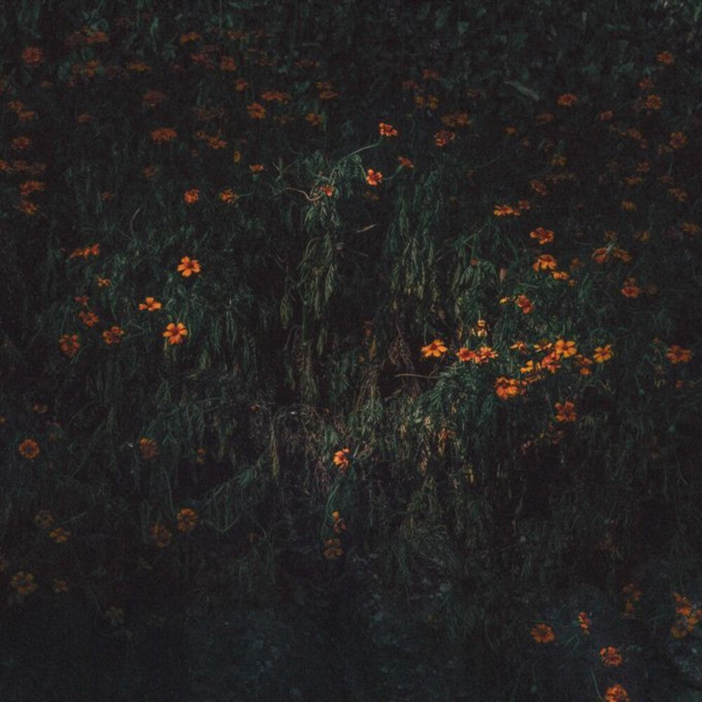 the album cover for Compro Oro - Estarantos