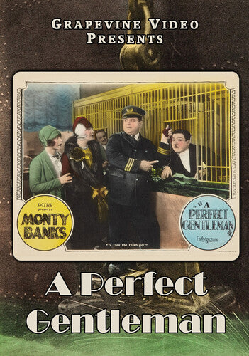 Perfect Gentleman (1928) - Perfect Gentleman (1928) - DVD