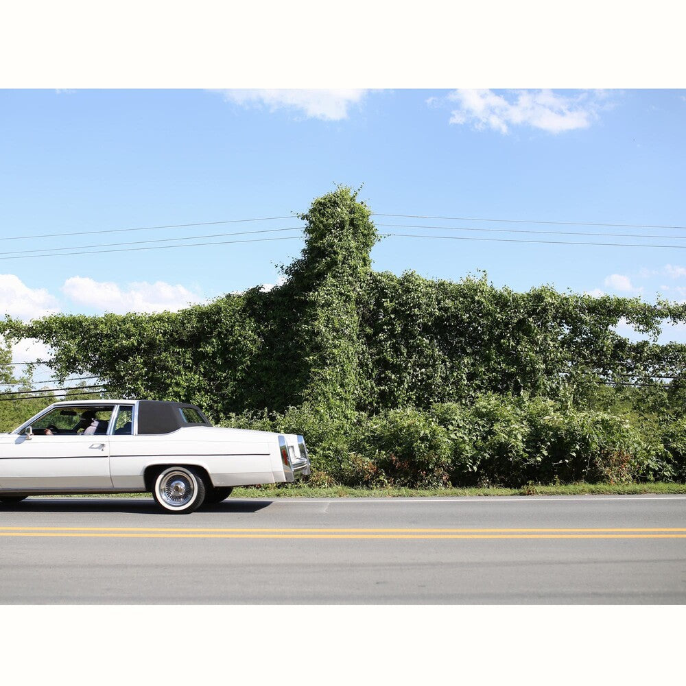 the album cover for Cory Branan - When I Go I Ghost