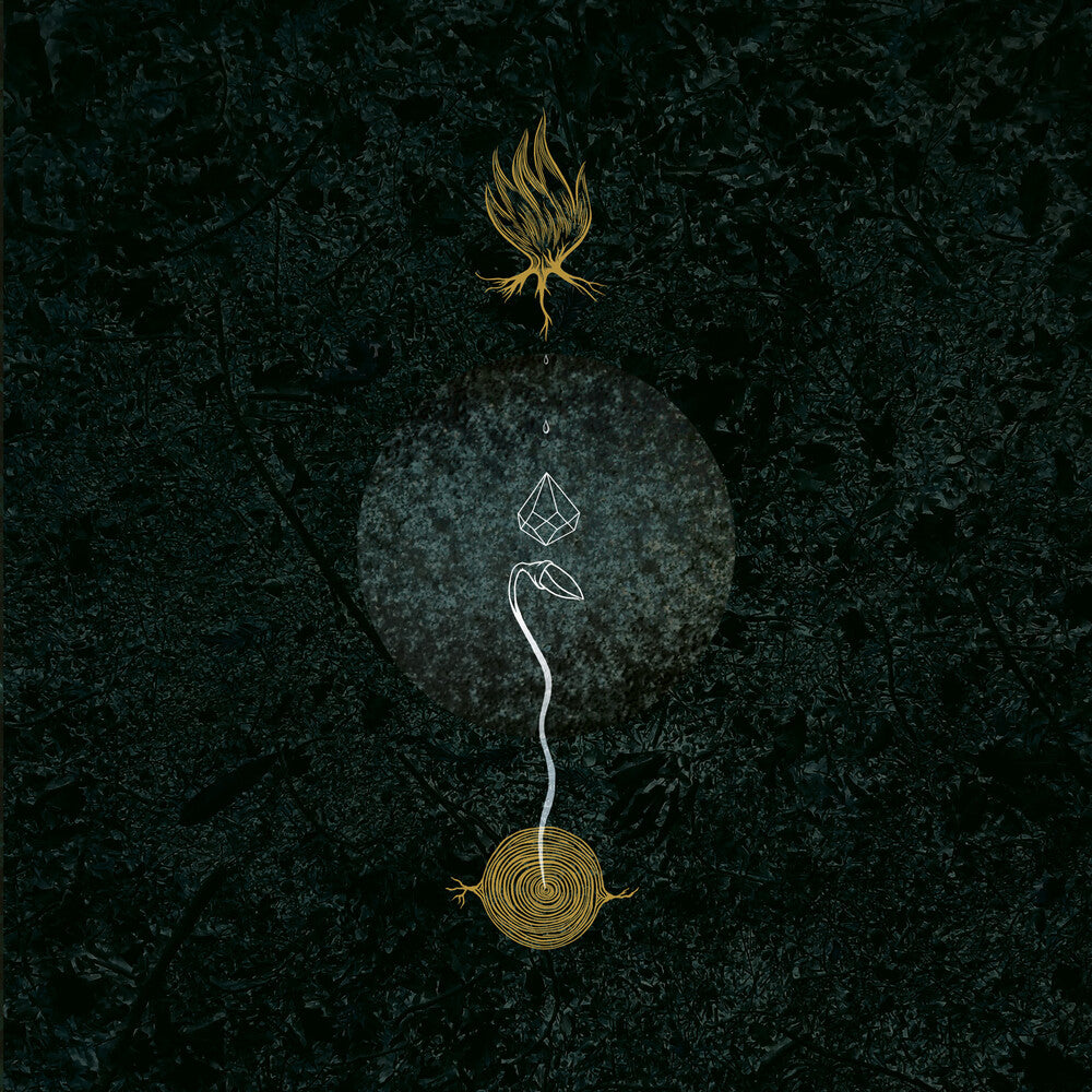 the album cover for Bosco Sacro - Gem