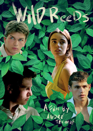 Wild Reeds - Wild Reeds - DVD