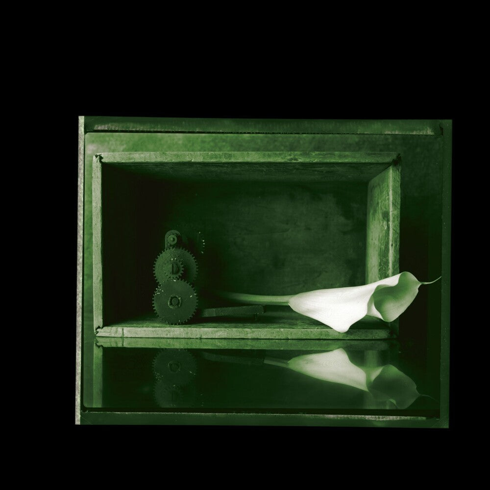 the album cover for Jad Fair - Elegies