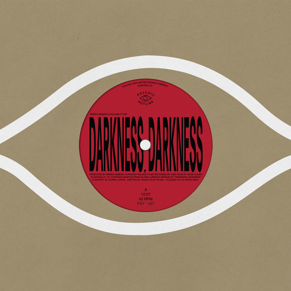 the album cover for Kieran Hebden & Tyler,William - Darkness, Darkness / No Services