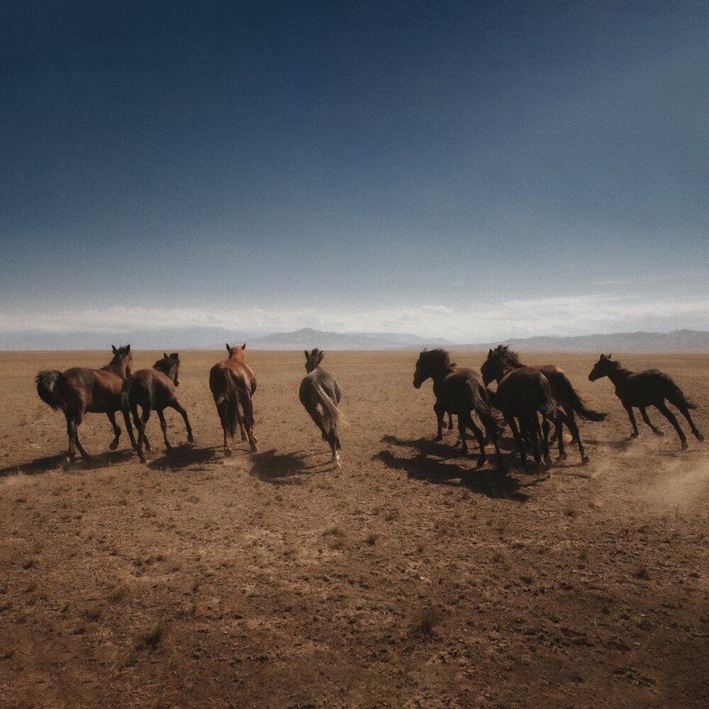 the album cover for Dan Shake - Verde (Uk)