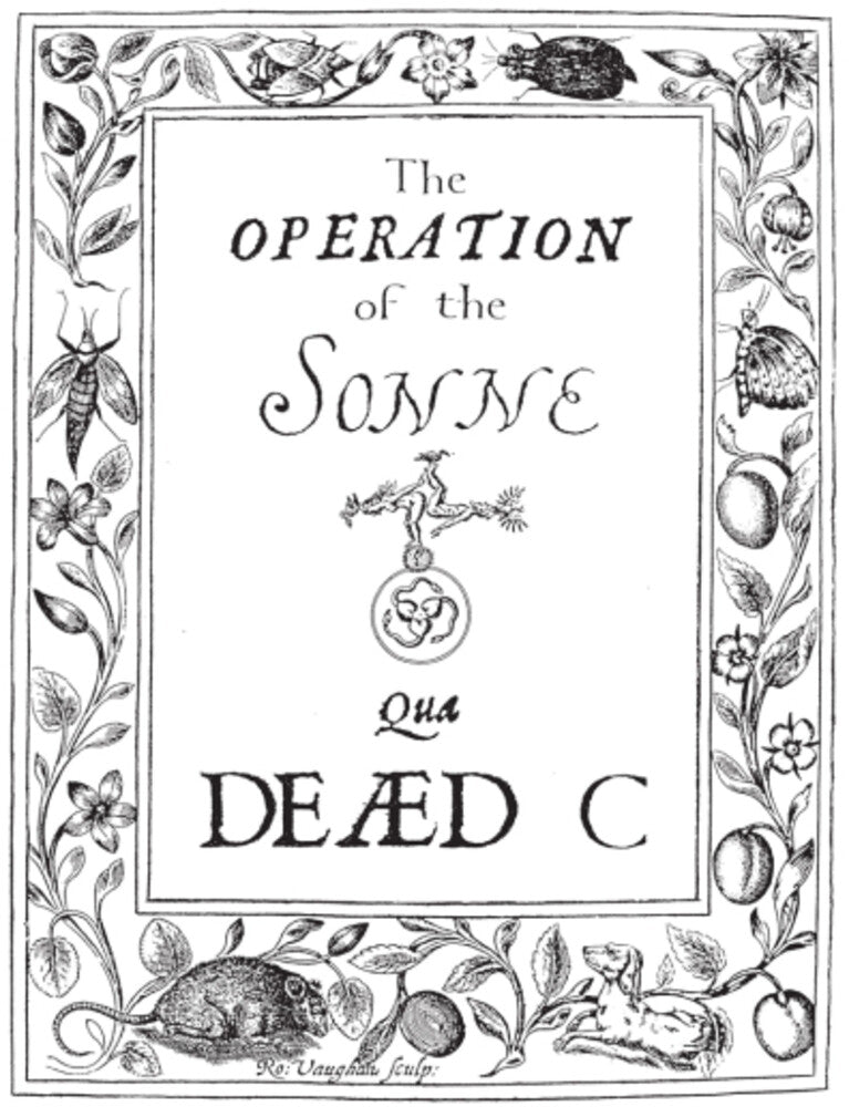 the album cover for Dead C - Operation Of The Sonne