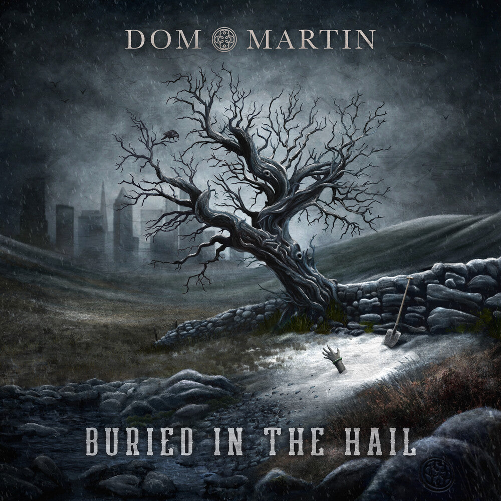 the album cover for Dom Martin - Buried In The Hail
