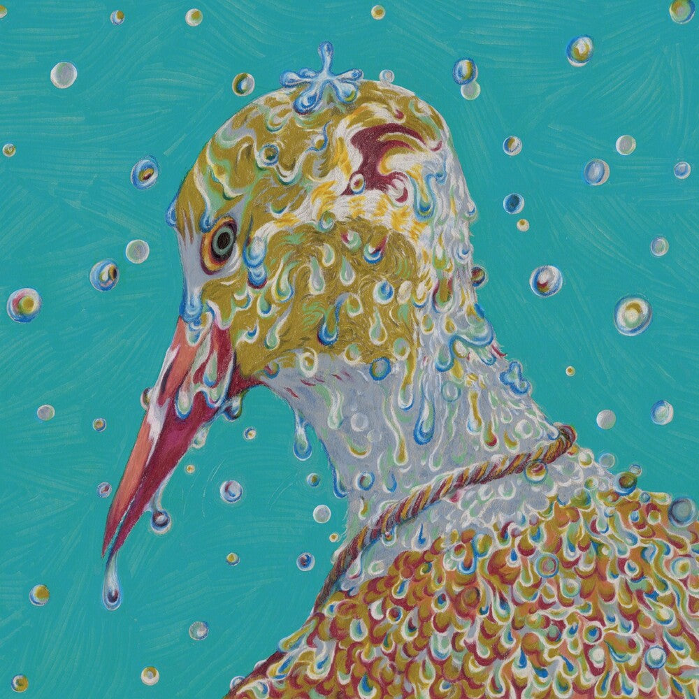 the album cover for Chartreuse - Morning Ritual (Blk)