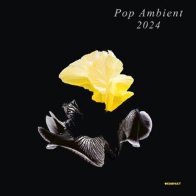 Various Artists - Pop Ambient 2024 - CD