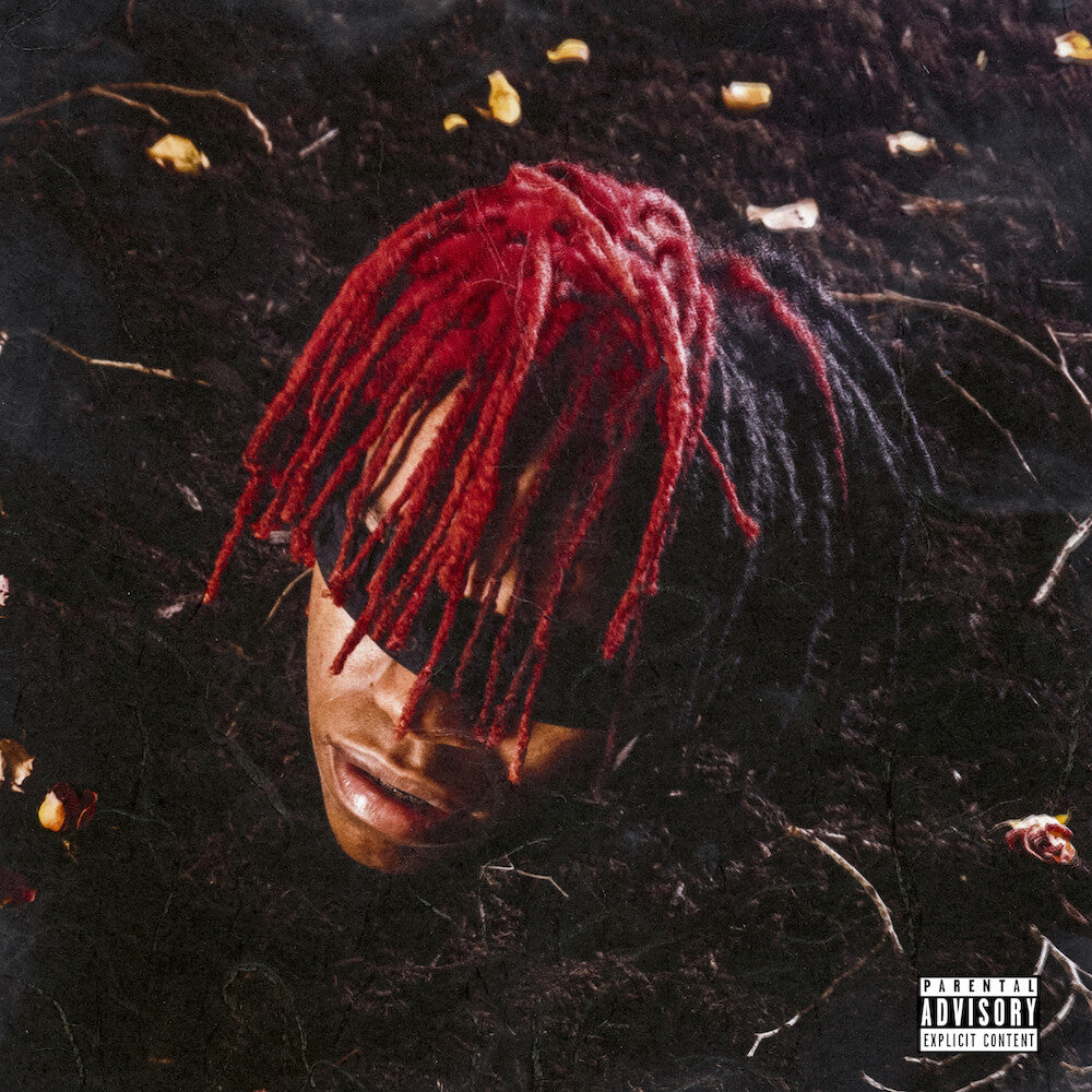 the album cover for DC The Don - Funeral