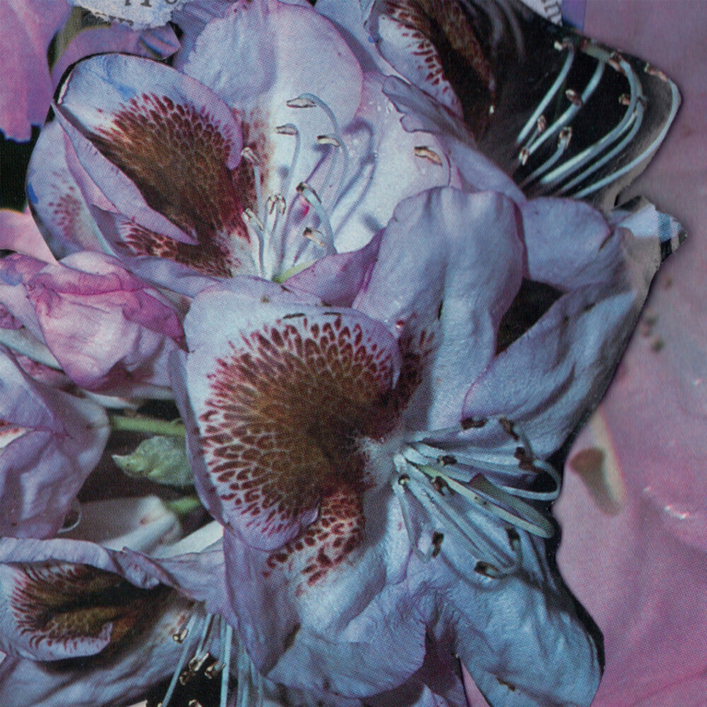 the album cover for Teresa Winter - Proserpine