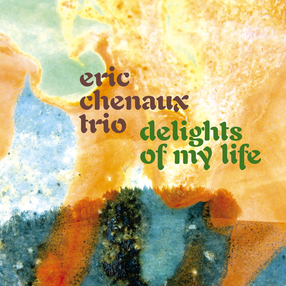 the album cover for Eric Chenaux Trio - Delights Of My Life (Blk)