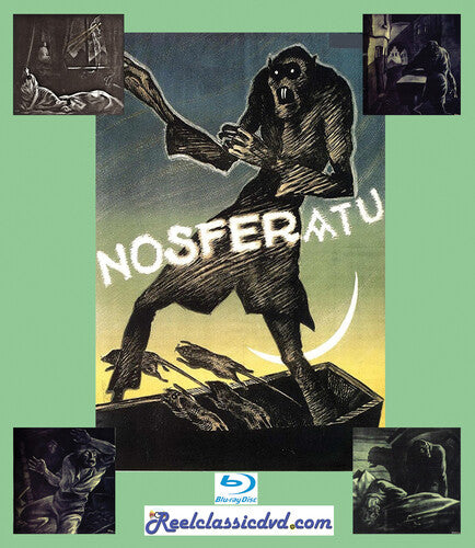 Nosferatu And Terror Of Dracula - Nosferatu And Terror Of Dracula - Blu-ray