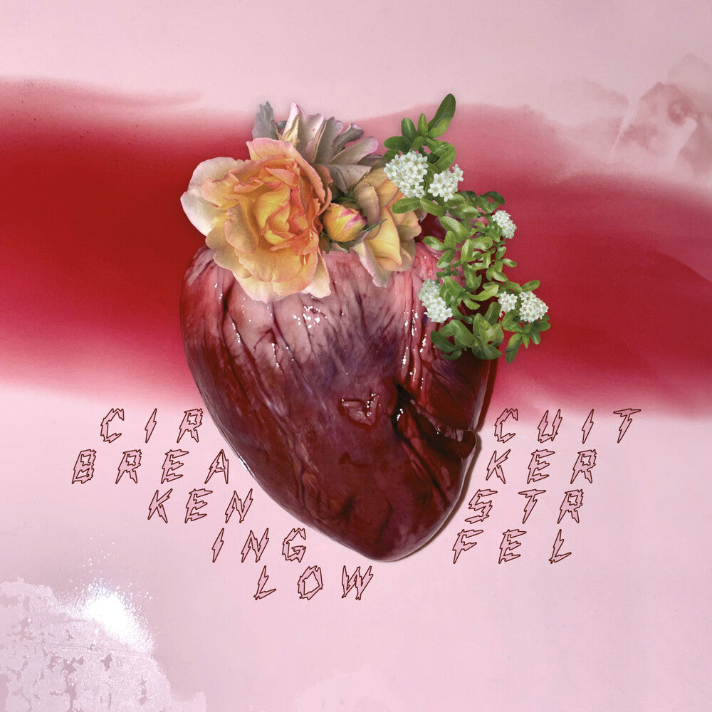 the album cover for Ken Stringfellow - Circuit Breaker