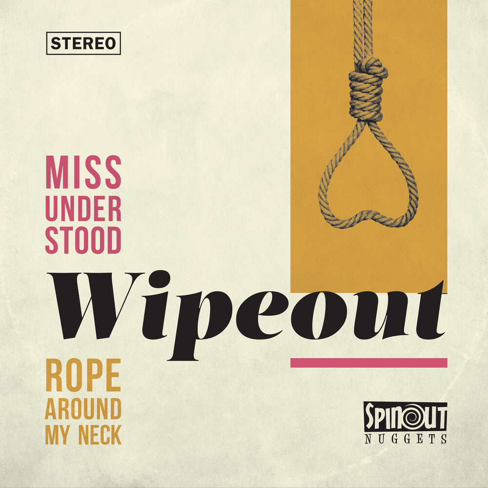 the album cover for Wipeout - Miss Understood