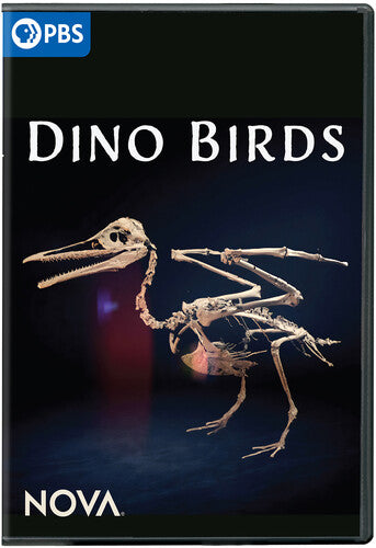 Nova: Dino Birds - Nova: Dino Birds - DVD